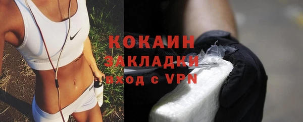 ешки Дмитриев