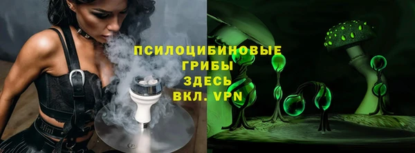 молекула духа Дмитровск