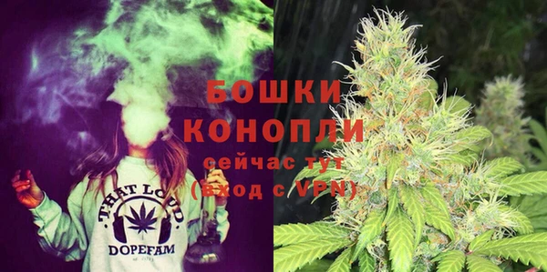 молекула духа Дмитровск