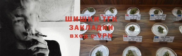 мдпв Дмитров
