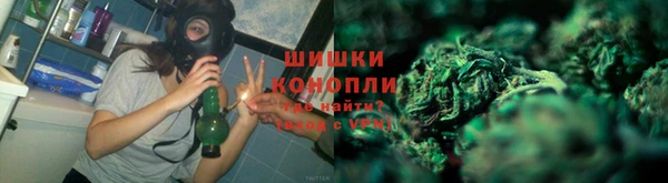 молекула духа Дмитровск