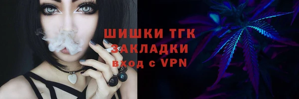 ешки Дмитриев