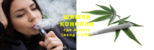 мдпв Дмитров