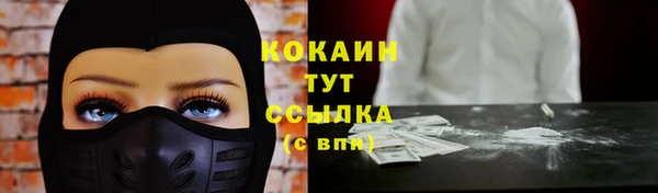 мдпв Дмитров