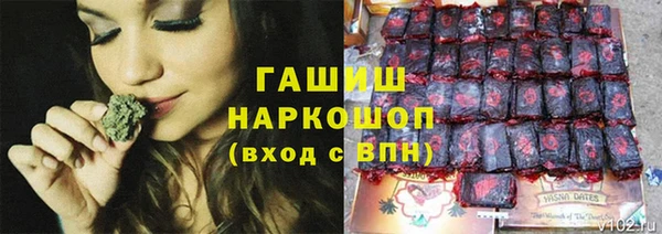 мдпв Дмитров