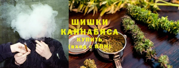 мдпв Дмитров
