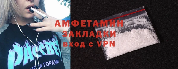 ешки Дмитриев