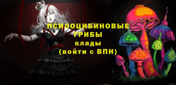 мдпв Дмитров