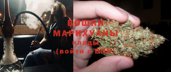 мдпв Дмитров