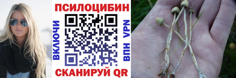 дарнет шоп  Сочи  Псилоцибиновые грибы прущие грибы 